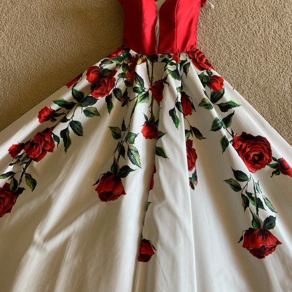 Prom Dress - Picture 4 of 8